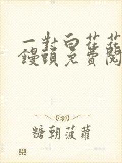 一对白花花的大馒头免费阅读封面