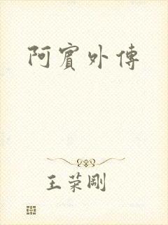 阿宾外传