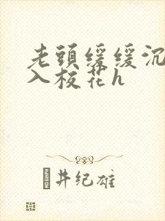 老头缓缓沉腰进入校花h封面