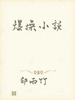 爆操小说