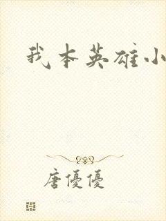 我本英雄小说
