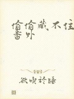 偷偷藏不住新婚番外