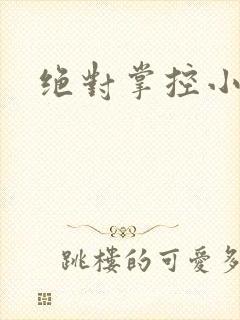 绝对掌控小说