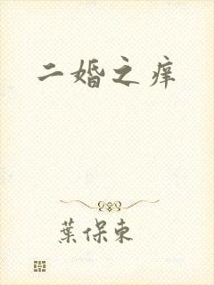 二婚之痒封面