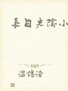 长日光阴小说封面