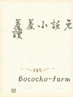 羞羞小说免费阅读