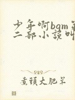 少年啊bgm第二部小说叫什么