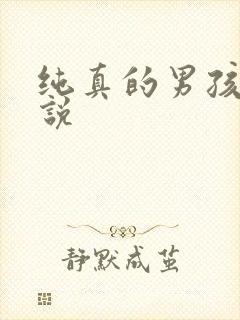 纯真的男孩子小说