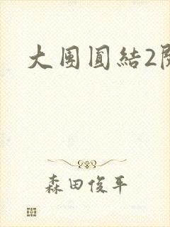 大团圆结2阅读