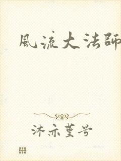 风流大法师封面