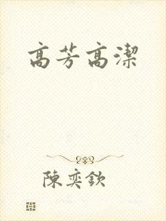 高芳高洁封面
