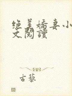 绝美娇妻小说全文阅读