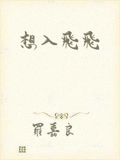 想入飞飞封面