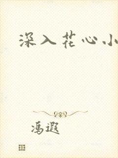 深入花心小说封面