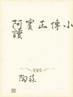 阿宾正传小说在读封面