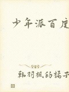 少年派百度百科