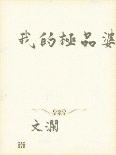 我的极品婆婆封面