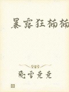 暴露狂楠楠封面