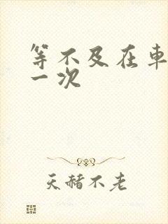 等不及在车里做一次