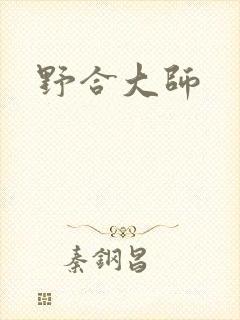 野合大师封面