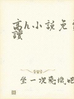 高h小说免费阅读封面