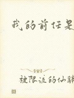 我的前任是极品