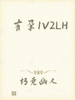 有孕1V2LH