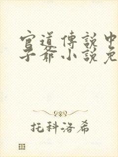 官道传说中的太子爷小说免费阅读