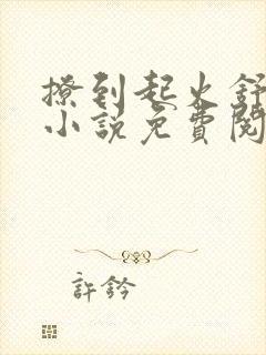 撩到起火舒漾的小说免费阅读全文