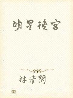 明星后宫
