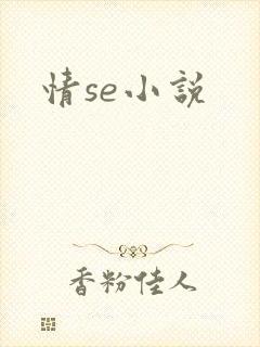 情se小说