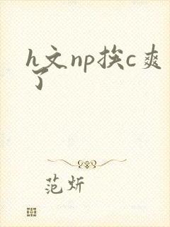 h文np挨c爽了