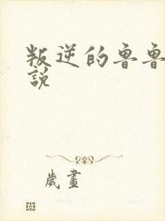 叛逆的鲁鲁修小说