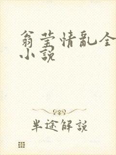 翁莹情乱全部篇小说