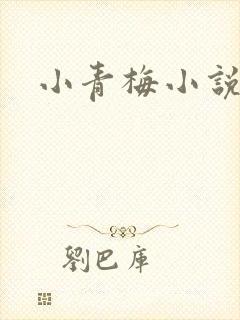 小青梅小说