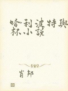 哈利波特与火焰杯小说