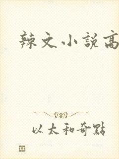 辣文小说高h