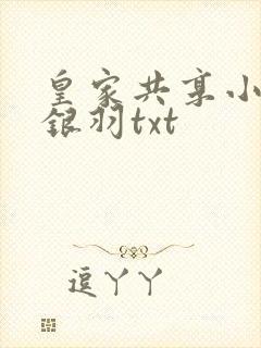 皇家共享小公主银羽txt封面