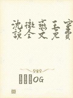 沈微燕王穿越小说全文免费阅读封面