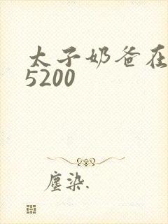 太子奶爸在花都5200封面