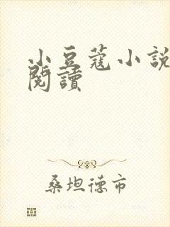 小豆蔻小说全文阅读