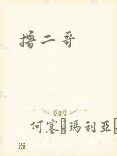 撸二哥
