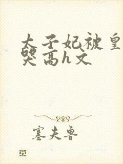 太子妃被皇上c哭高h文封面