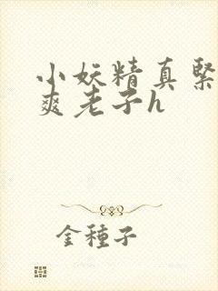 小妖精真紧h嘶爽老子h封面