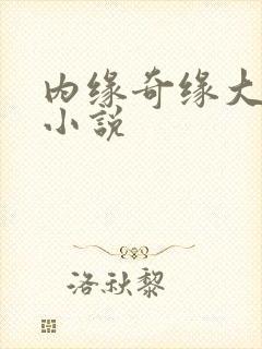 内缘奇缘大团圆小说封面