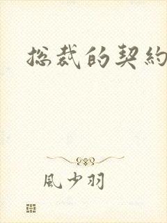 总裁的契约情人