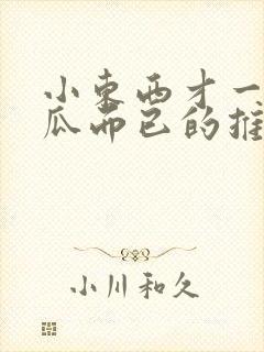 小东西才一根黄瓜而已的推荐书