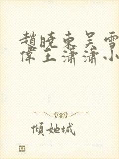 赵晓东吴雪晴郑伟王潇潇小说名字