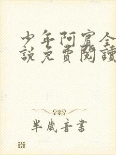 少年阿宾全文小说免费阅读笔趣阁封面