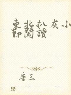 东北扒灰小说分节阅读